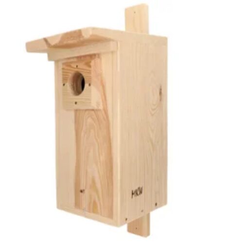 ØkoFrø Redekasse Stær