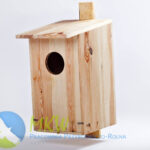 ØkoFrø Redekasse Ugle